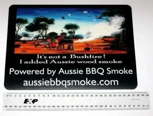 Bush BBQ Magnet